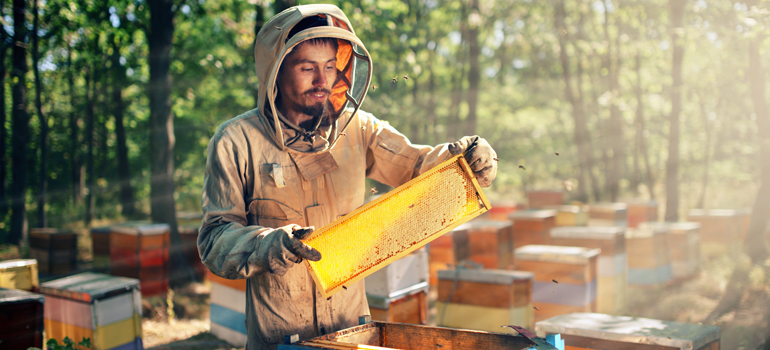  ملاحظات عامة يجب أخذها بالاعتبار عند استيراد العسل وتصديره