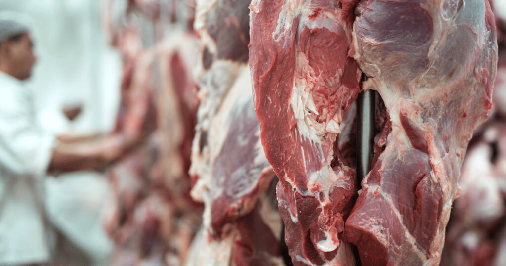 مزايا شركات نقل اللحوم المبردة في السعودية